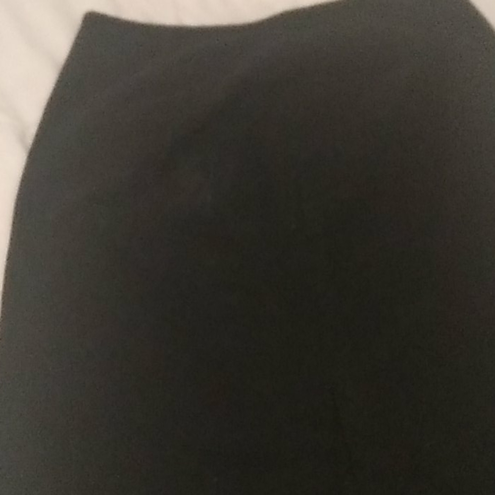 Skirt ann taylor